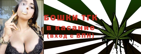 ГАЛЛЮЦИНОГЕННЫЕ ГРИБЫ Медвежьегорск