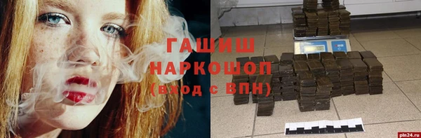 шишки Магас