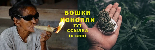 шишки Магас