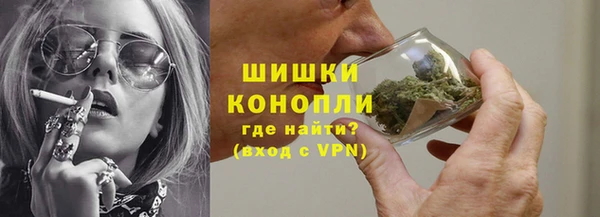 шишки Магас