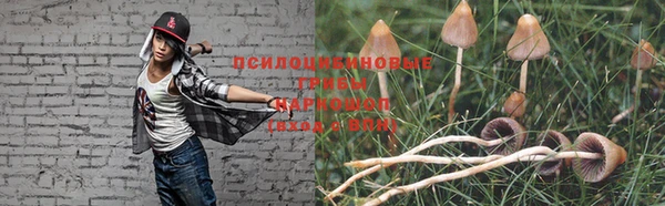 молекула духа Магадан