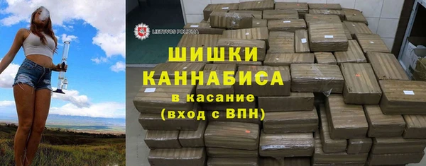 шишки Магас